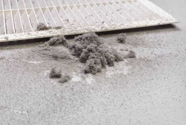 Best Affordable Duct Cleaning Services  in Hackleburg, AL