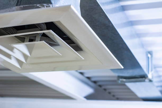 Air Duct Mold Removal in Hackleburg, AL