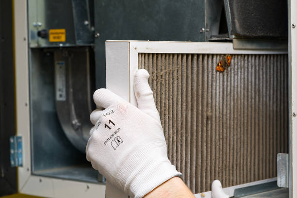 Best HVAC Duct Inspection Services  in Hackleburg, AL