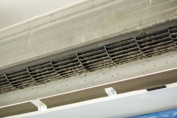 Best Local Air Duct Cleaning Services  in Hackleburg, AL